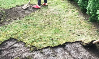 Снятие дерна старого газона в Симферополе – от 521 руб. | ДровосекСмф